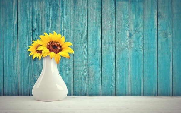 Quels sont les avantages d'une maison en bois ?
