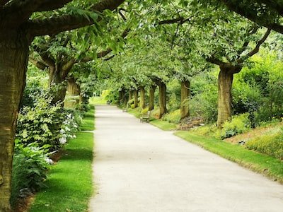 Pourquoi munir sa maison d'un jardin ?