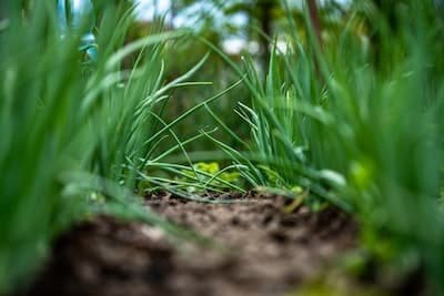 Quels sont les différents types de chariots de jardins ?