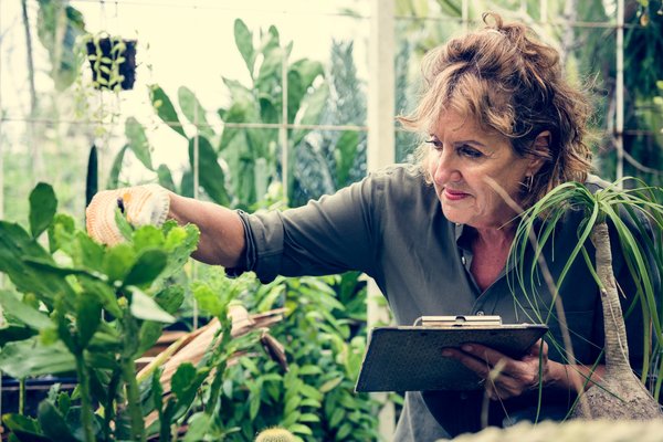 Cours de jardinage à genève : transformez vos compétences horticoles