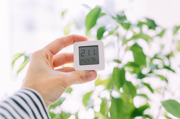 Demandez vos devis gratuits pour un traitement d'humidité efficace